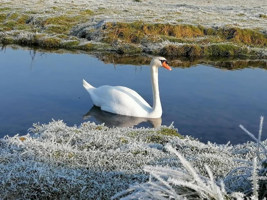 Le Logis Du Heron คูลง ภายนอก รูปภาพ